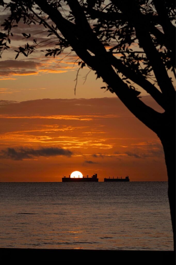 FOTO-DE-NANI-RODRIGUES-01-682x1024 Nani Rodrigues: A Paixão Pela Arte que Une Música, Fotografia e Vida