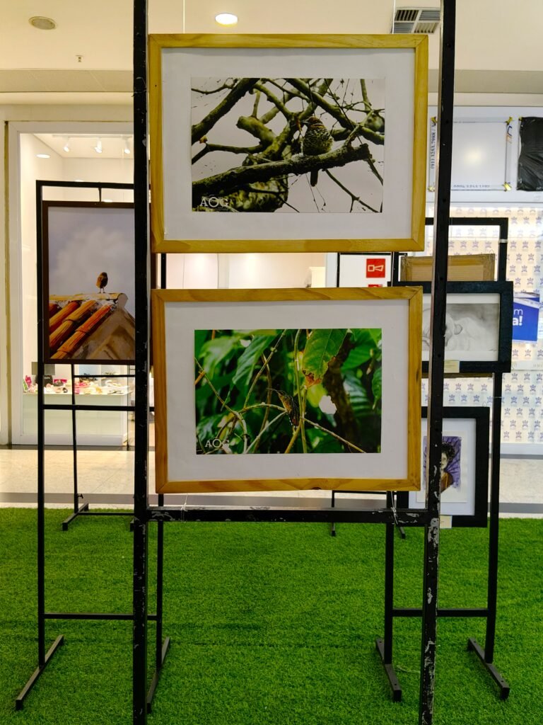 IMG202603202009201-768x1024 Exposição “São José: Fé, História e Identidade Amazônica” ocupa dois shoppings em Macapá e evidencia força dos artistas amapaenses