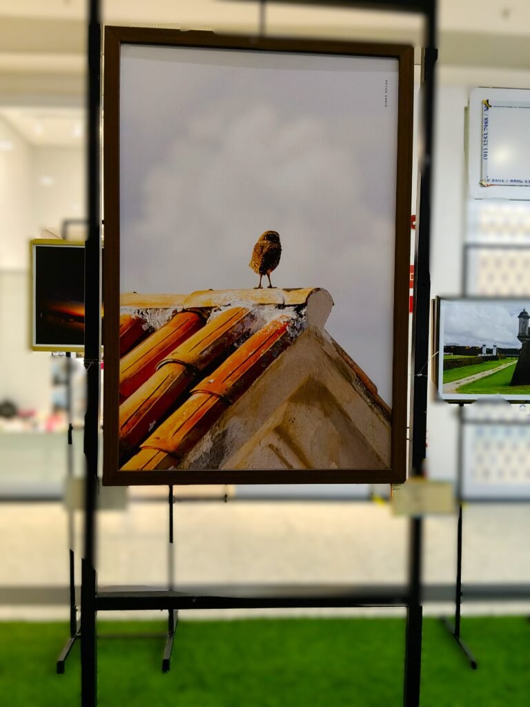 IMG202603202009271-768x1024 Exposição “São José: Fé, História e Identidade Amazônica” ocupa dois shoppings em Macapá e evidencia força dos artistas amapaenses