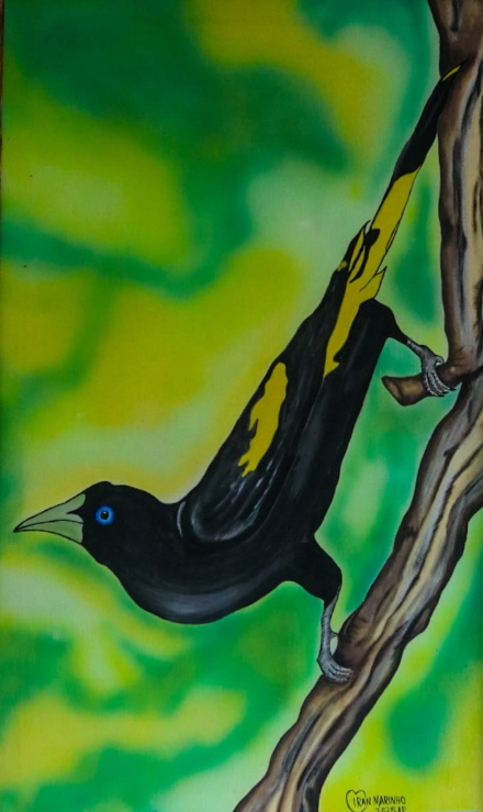 Captura-de-tela-2026-05-16-223234 Cores, cultura e ancestralidade: exposição “Amazônia em Traços” movimenta a cena artística no Amapá