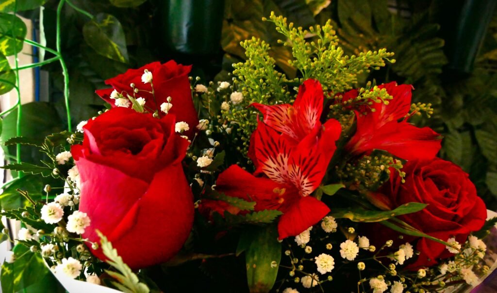 P1550127-1-1024x605 Flores que Não Aprenderam a Ferir